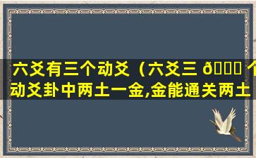 六爻有三个动爻（六爻三 🍀 个动爻卦中两土一金,金能通关两土吗）